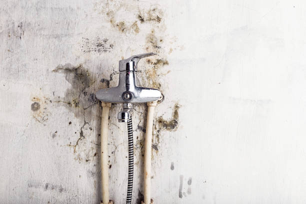 Best Black Mold Removal  in Anadarko, OK
