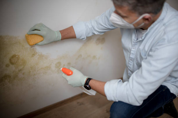 Best Professional Mold Removal  in Anadarko, OK