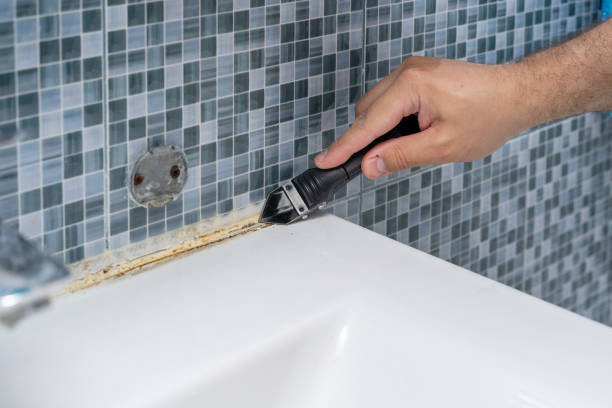 Best Mold Damage Repair  in Anadarko, OK