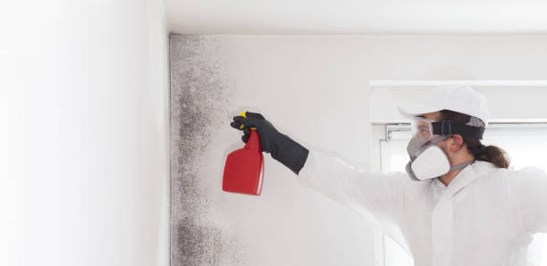 Best Mold Remediation  in Anadarko, OK