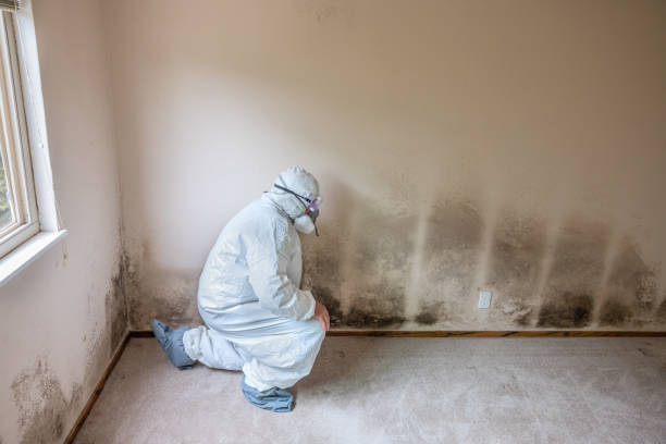 Best Emergency Mold Removal  in Anadarko, OK