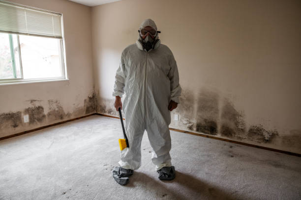 Certified Mold Removal in Anadarko, OK